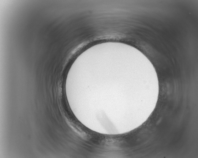 X0000080150632200612221950