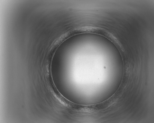 X0000080150633200612221950