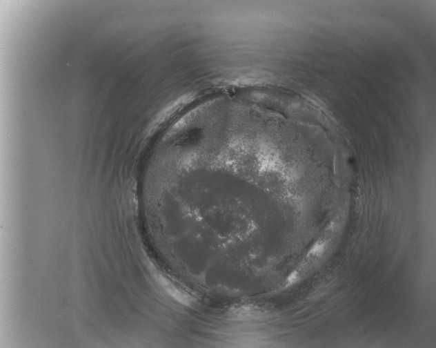 X0000080150634200612221950