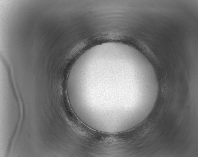 X0000080150635200612221950