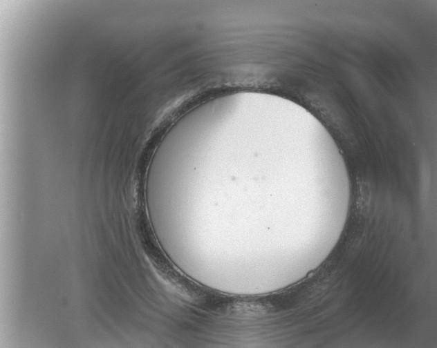 X0000080150636200612221950