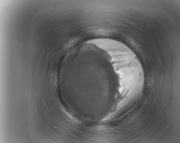 X0000080150637200612221950