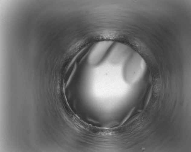 X0000080150639200612221950