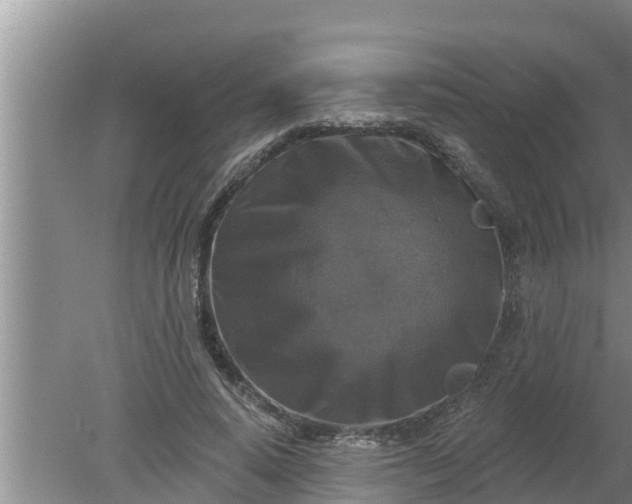 X0000080150640200612221950