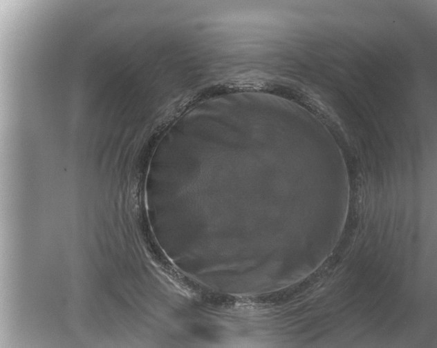 X0000080150641200612221950