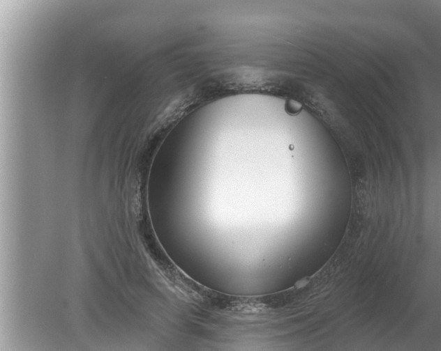 X0000080150642200612221950