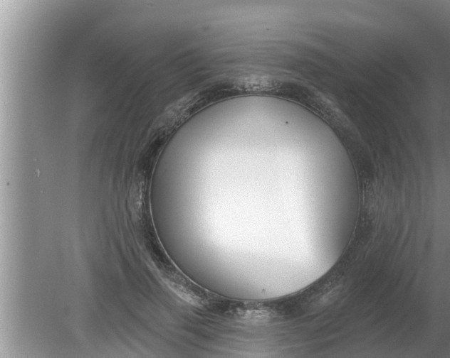 X0000080150645200612221950