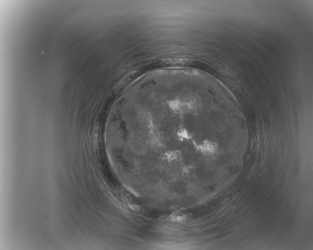 X0000080150647200612221950