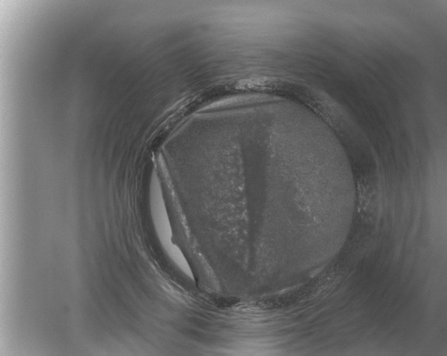 X0000080150648200612221950