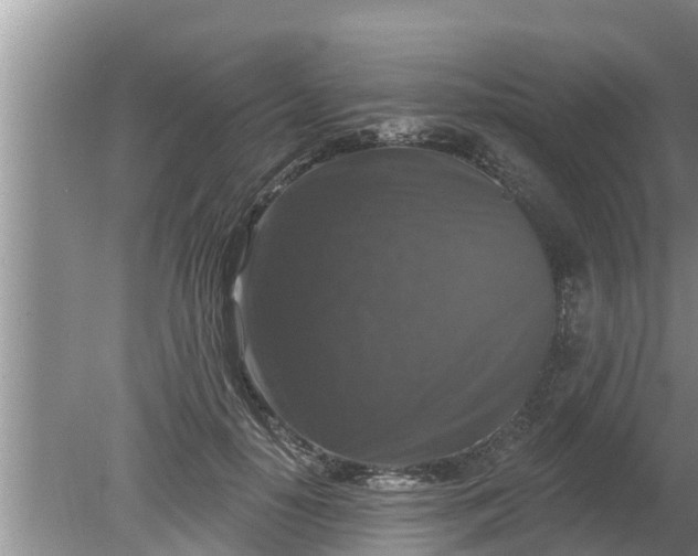 X0000080150650200612221950