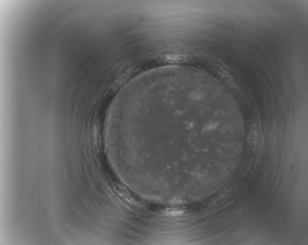 X0000080150651200612221950