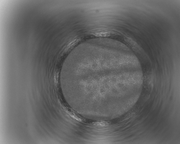 X0000080150652200612221950