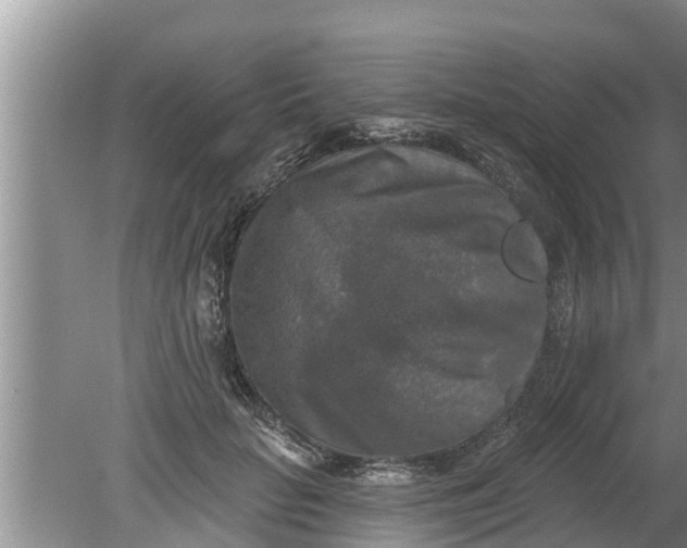 X0000080150653200612221950