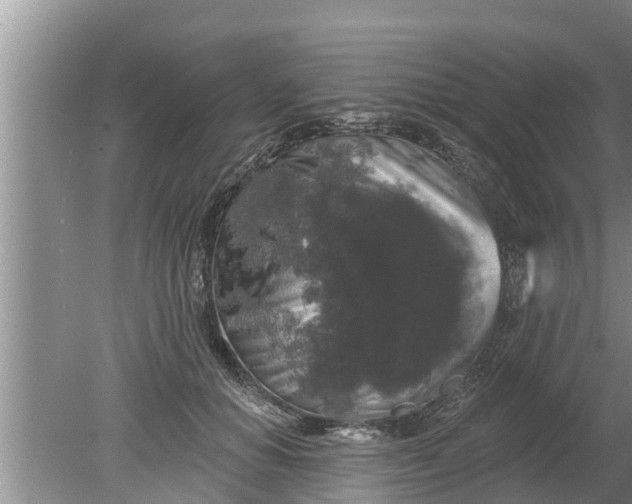 X0000080150654200612221950