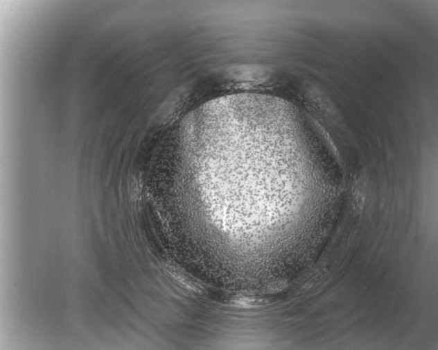 X0000080150657200612221950