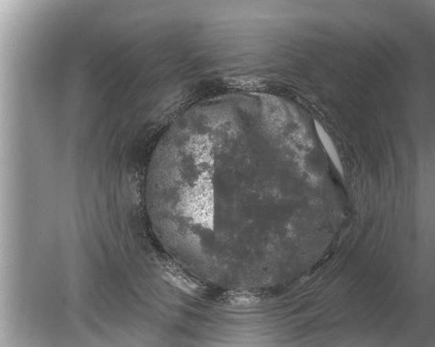 X0000080150658200612221950