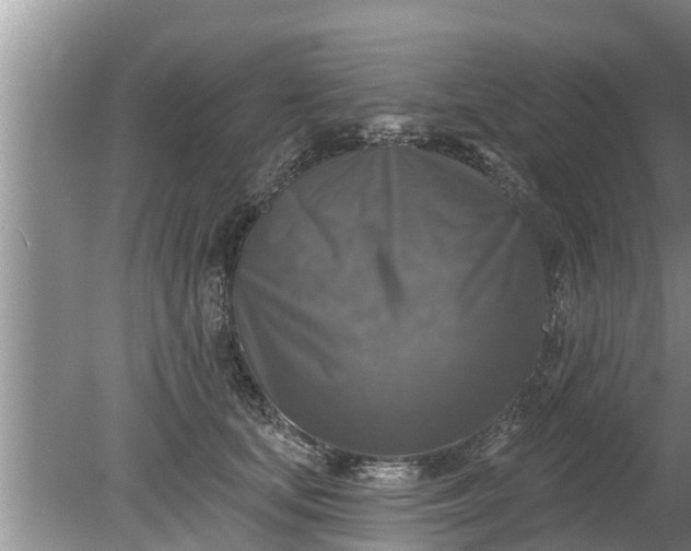 X0000080150659200612221950