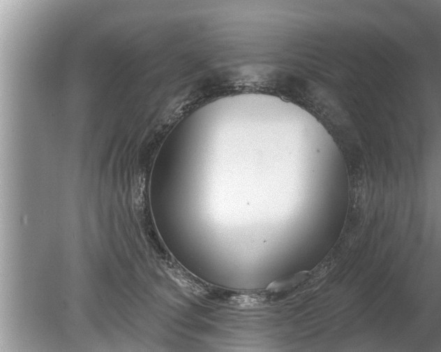 X0000080150660200612221950