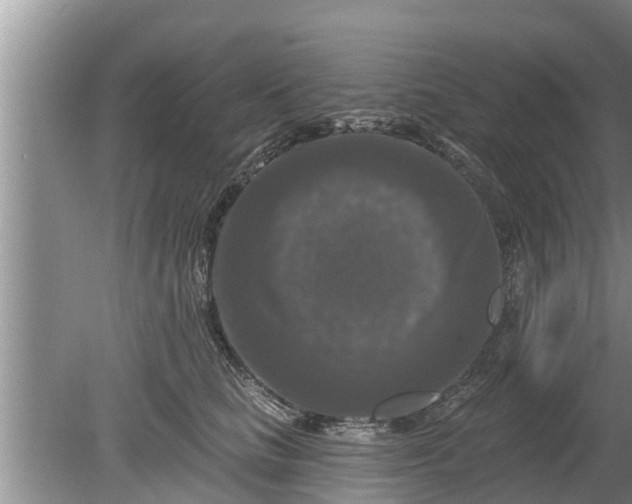 X0000080150661200612221950