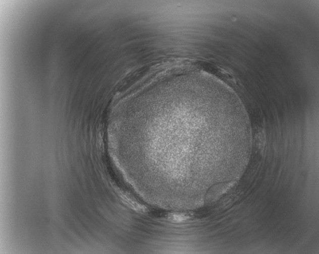 X0000080150662200612221950