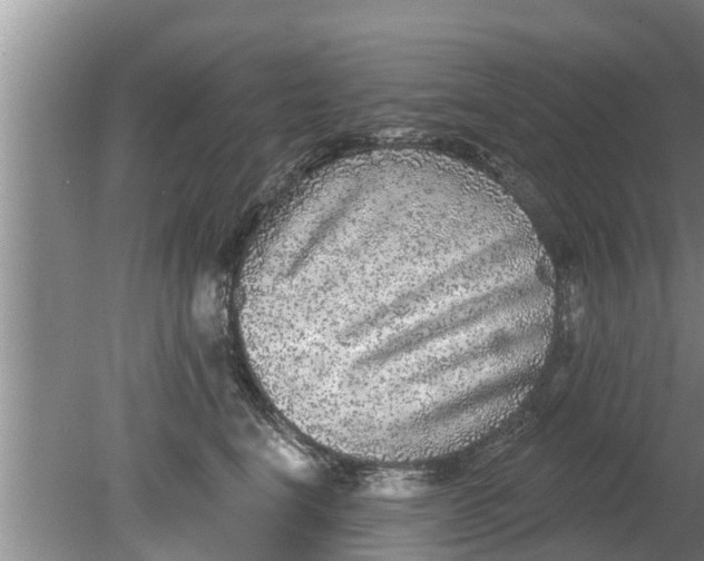 X0000080150664200612221950