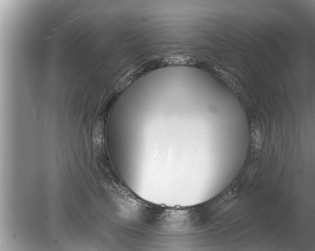 X0000080150665200612221950