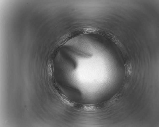 X0000080150666200612221950