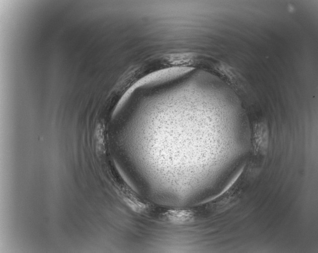 X0000080150667200612221950