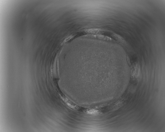 X0000080150669200612221950