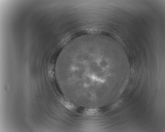 X0000080150671200612221950