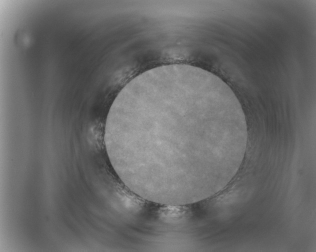 X0000080150672200612221950