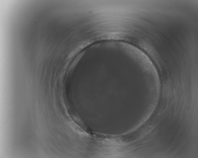 X0000080150673200612221950