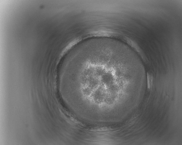 X0000080150675200612221950