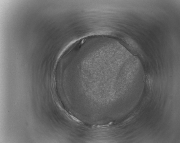 X0000080150676200612221950