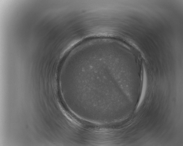 X0000080150677200612221950