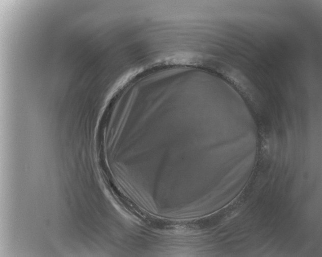 X0000080150678200612221950