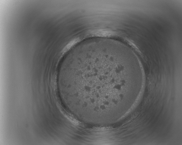 X0000080150679200612221950