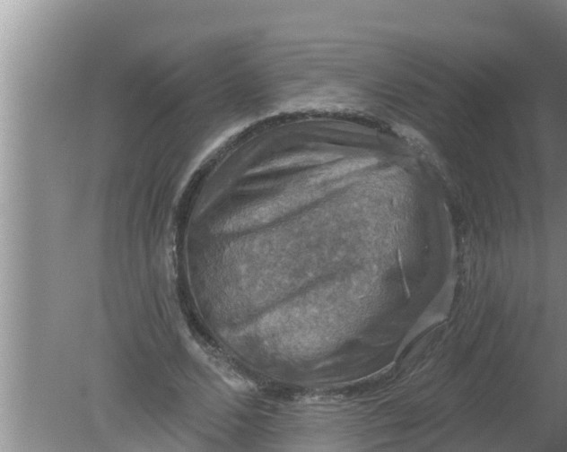 X0000080150680200612221949