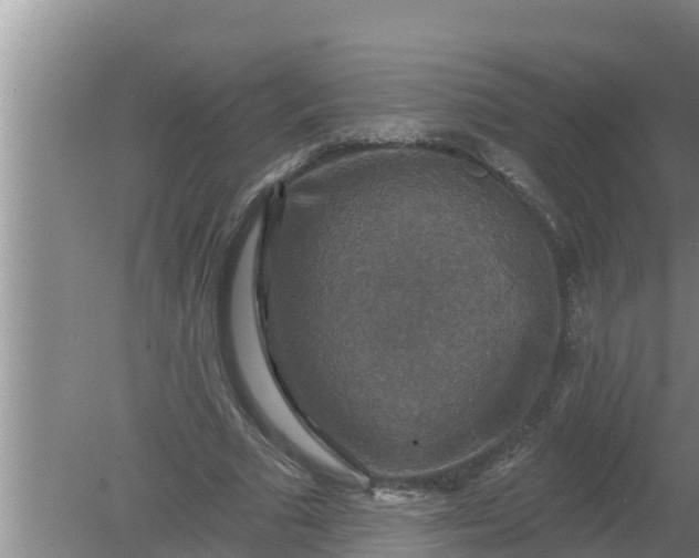 X0000080150681200612221949