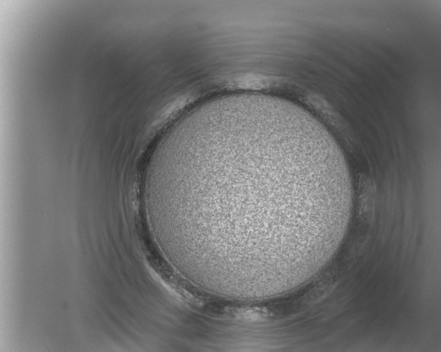 X0000080150683200612221949