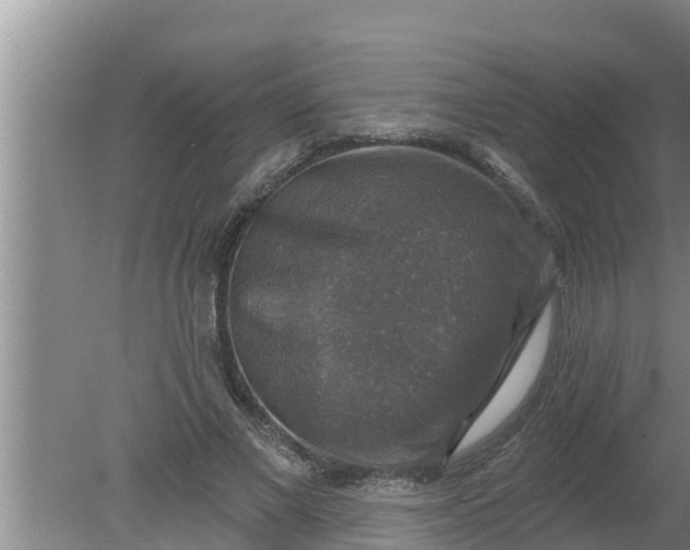 X0000080150685200612221949