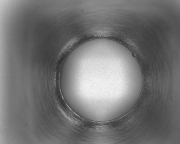 X0000080150686200612221949