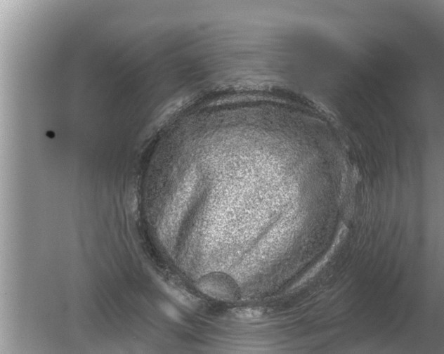 X0000080150687200612221949