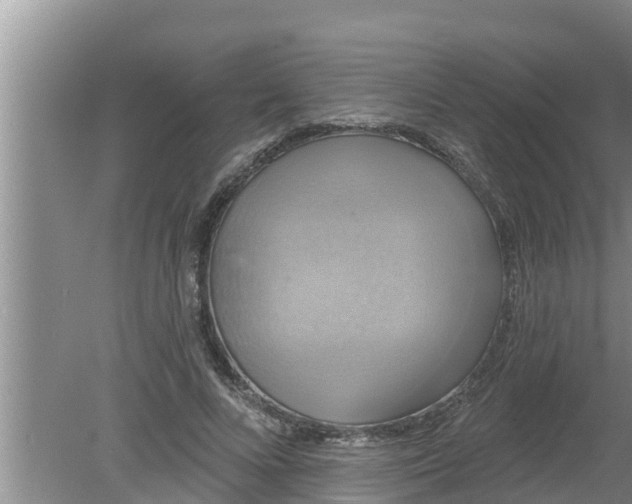 X0000080150688200612221949