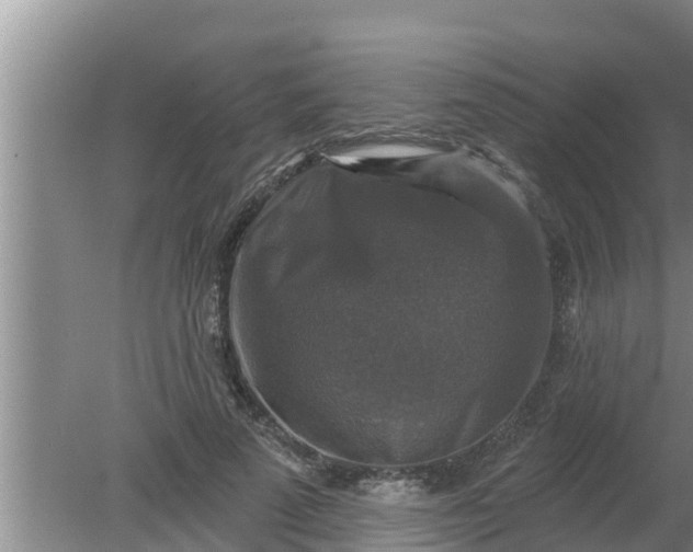 X0000080150689200612221949