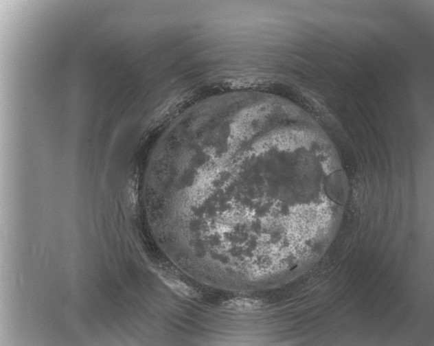 X0000080150691200612221949