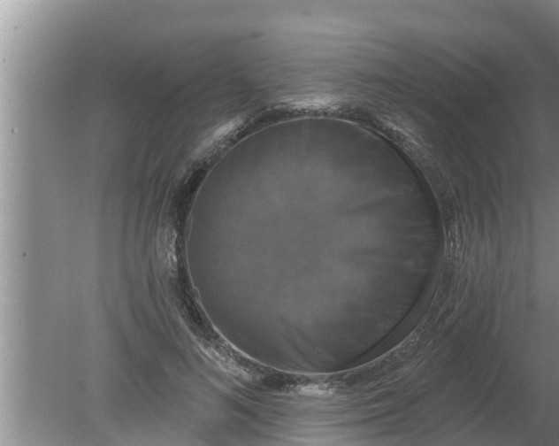 X0000080150692200612221949