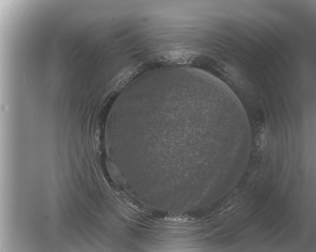 X0000080150693200612221949