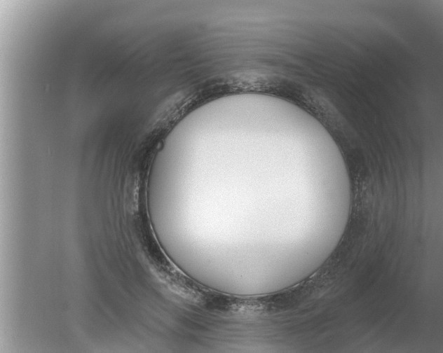 X0000080150694200612221949