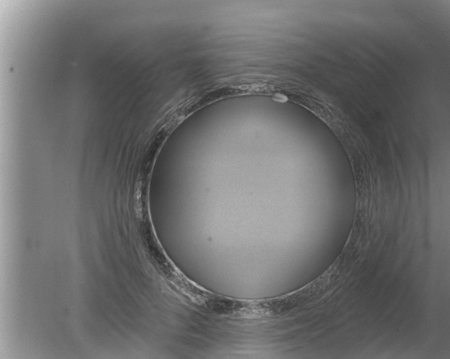 X0000080150696200612221949